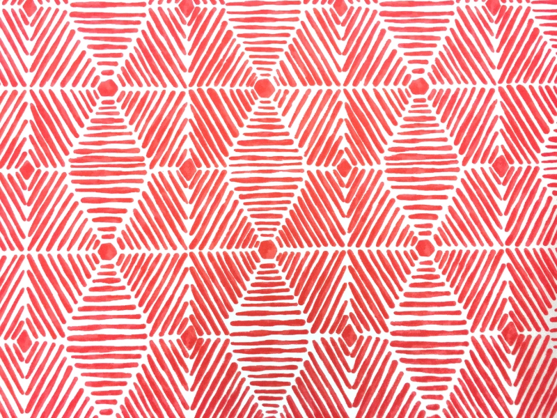 Outdoor Heni Canvas Print0