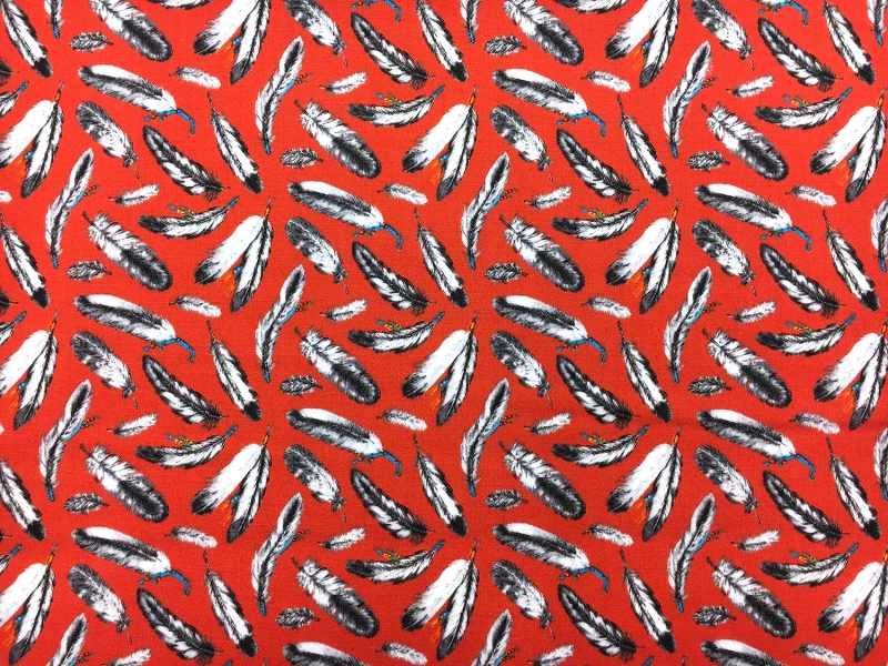 Cotton Broadcloth With Feathers Print0