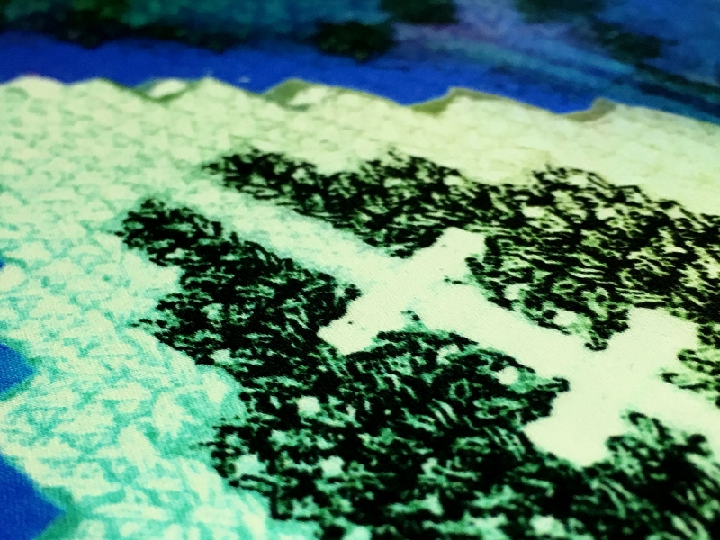 Printed Silk Charmeuse2