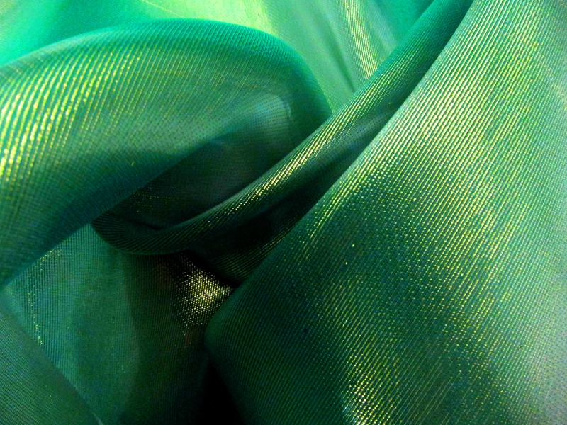 Silk Blend Liquid Look Organza0