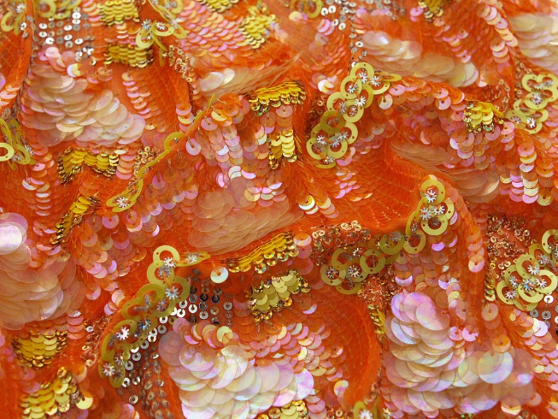 Sequins on Silk Chiffon3