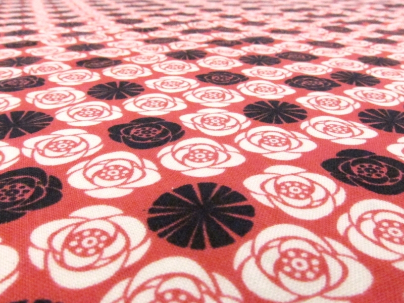 Cotton Broadcloth Print2