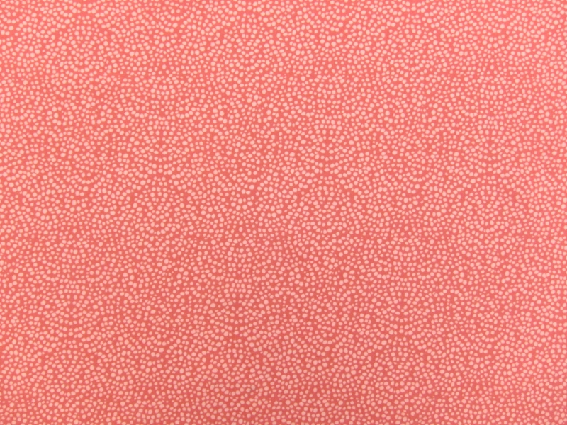 Cotton Broadcloth Print0