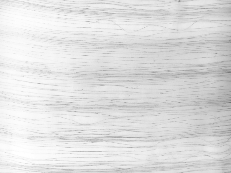 Double Layer Organza with Lurex Strands1