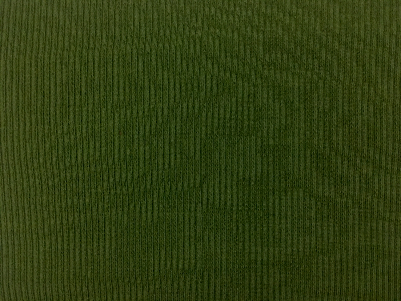 Virgin Wool Rib Knit in Moss0