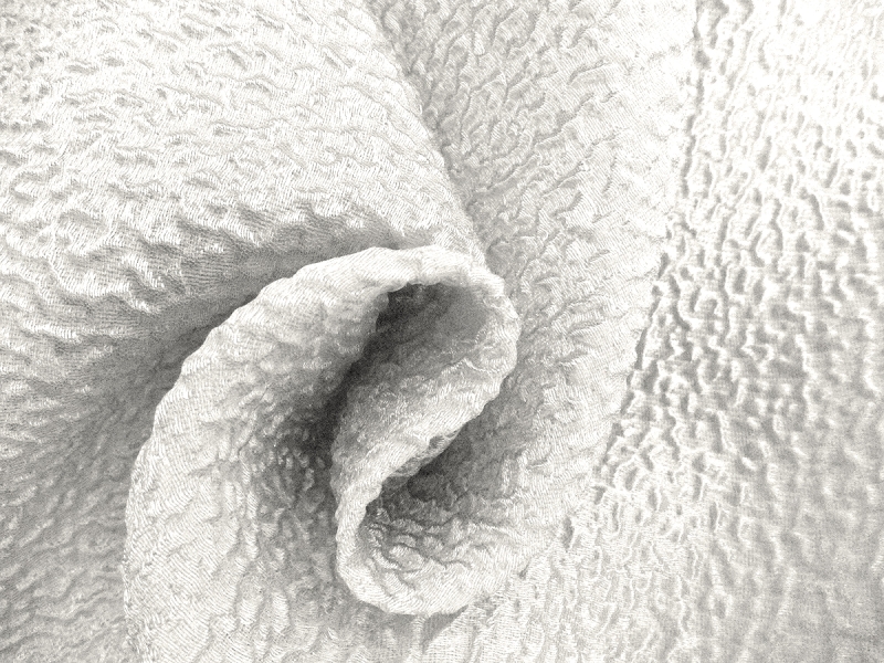 Silk Blend Organza Cloqué1