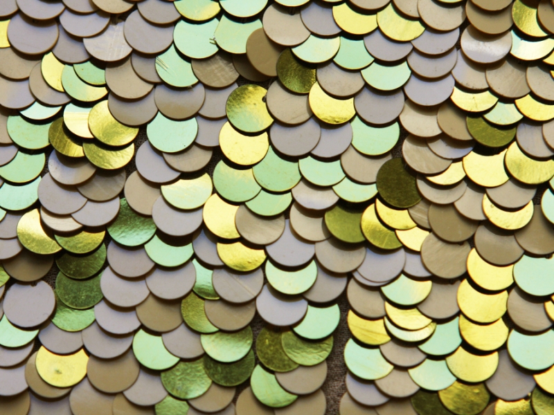 Paillettes on Silk Chiffon3