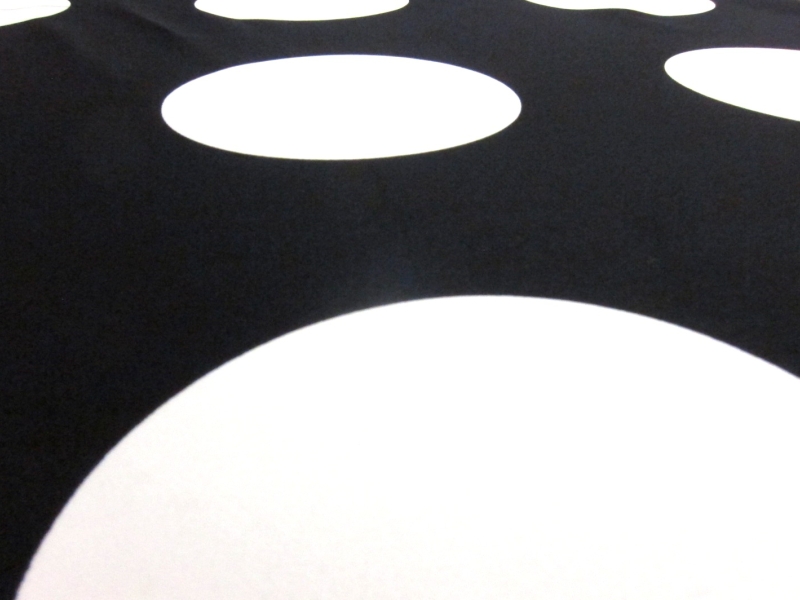 Printed Silk Charmeuse2