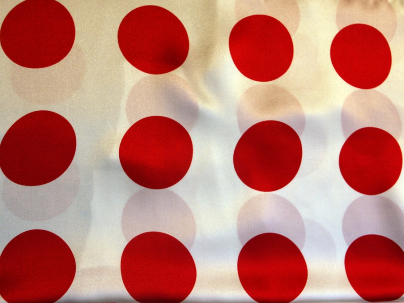 Printed Silk Charmeuse1