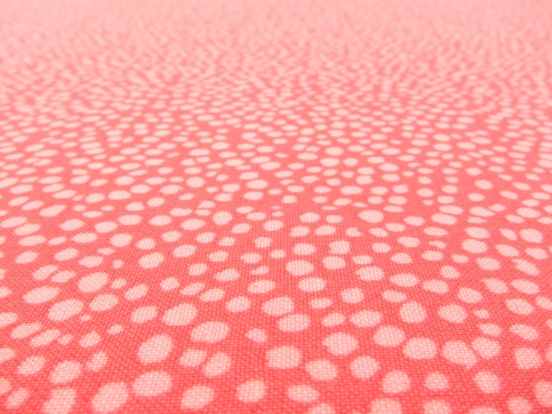 Cotton Broadcloth Print2