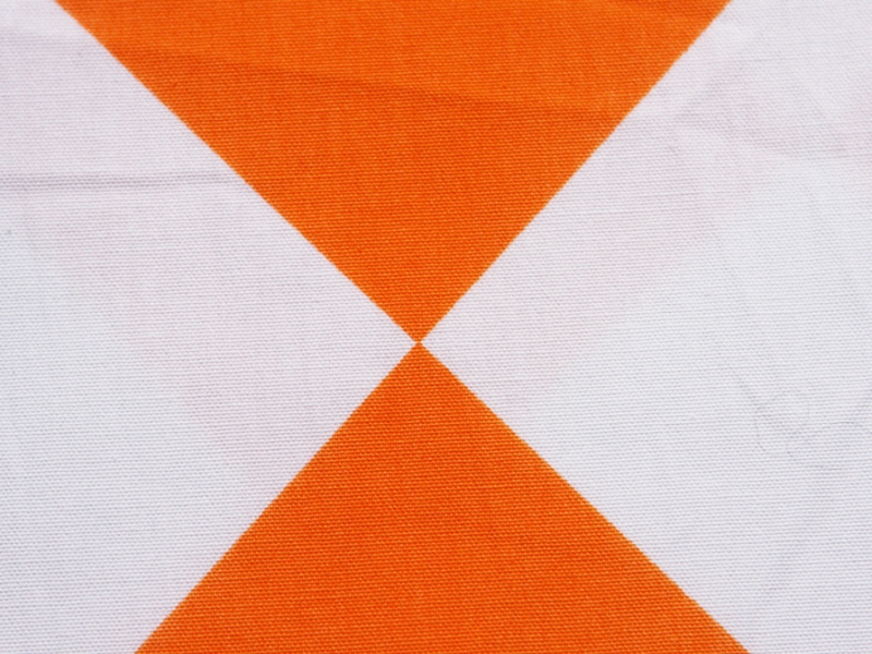 Printed Cotton Canvas2