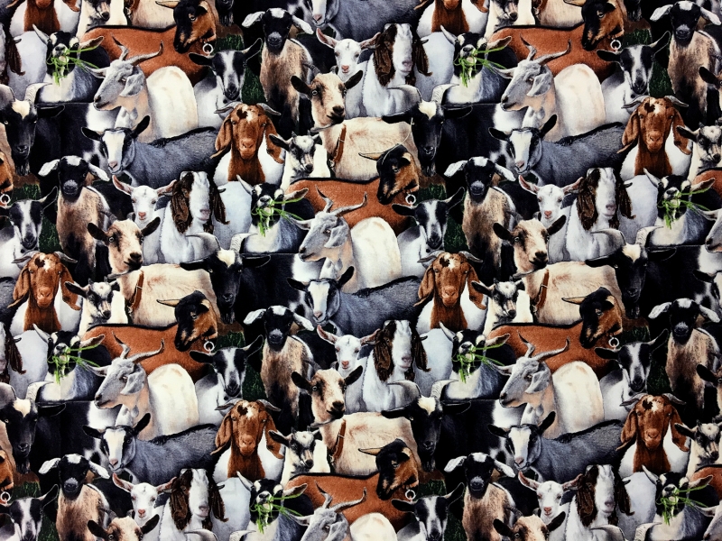 Cotton Broadcloth Print 0