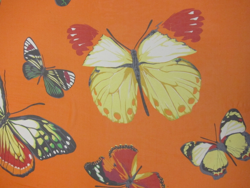 Printed Silk Chiffon0