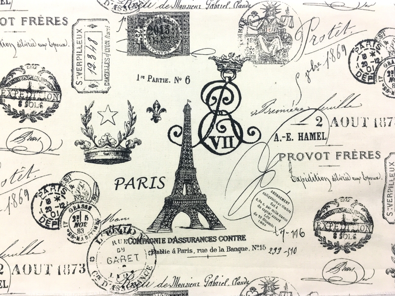 Cotton Canvas Parisian Print0