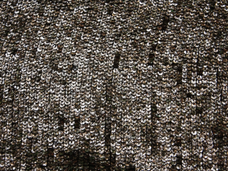 Sequins on Silk Chiffon0