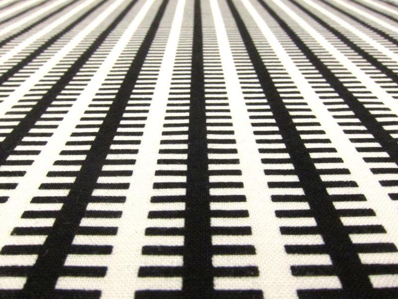 Cotton Broadcloth Print2