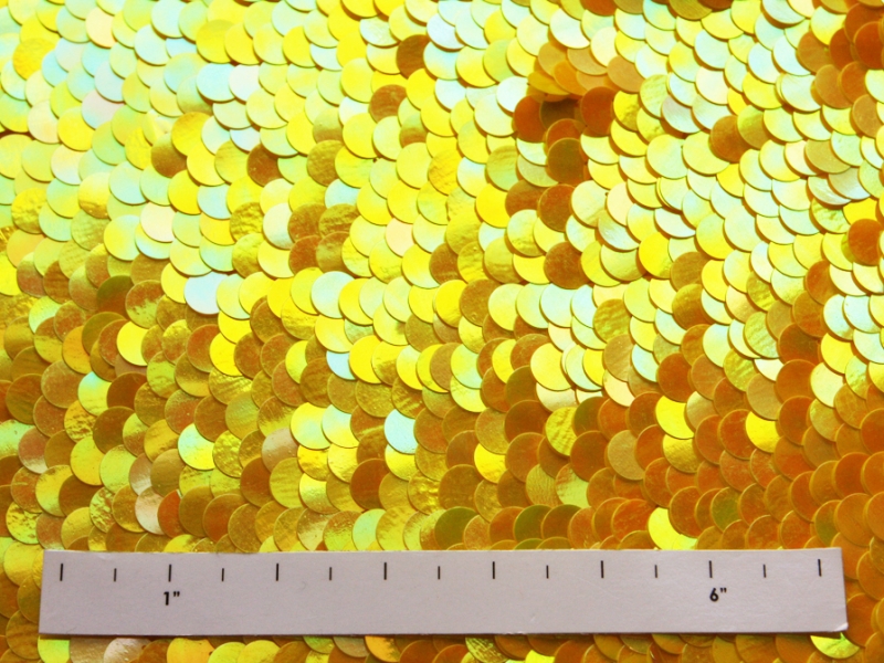 Paillettes on Silk Chiffon2