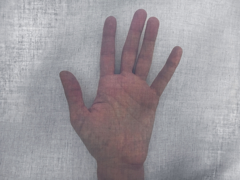 Swiss Cotton Organdy in Bright Navy1