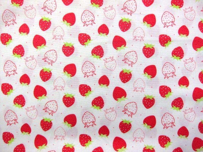 Cotton Broadcloth Print0