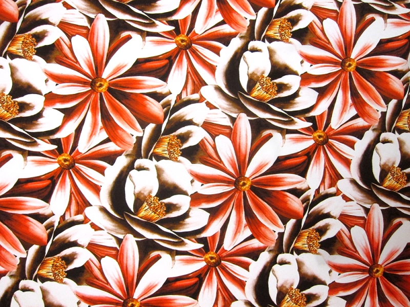 Printed Silk Charmeuse0