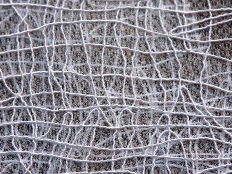 Embroidered Souffle2