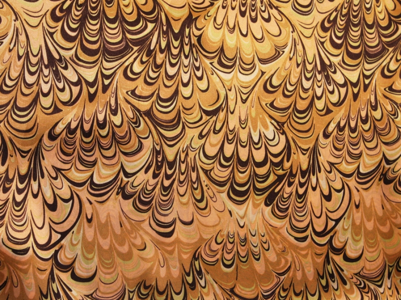 Printed Silk Charmeuse1