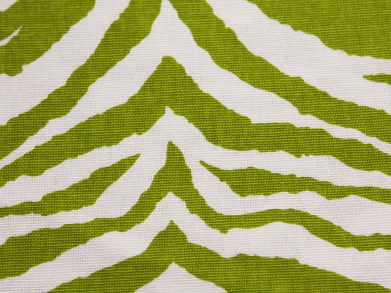 Printed Cotton Canvas2