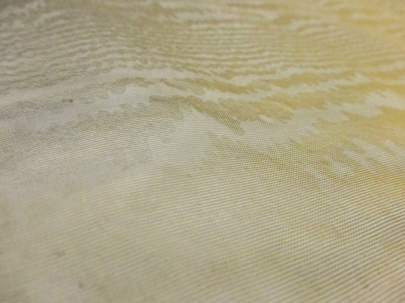  Iridescent Silk Blend Organza Moiré 3