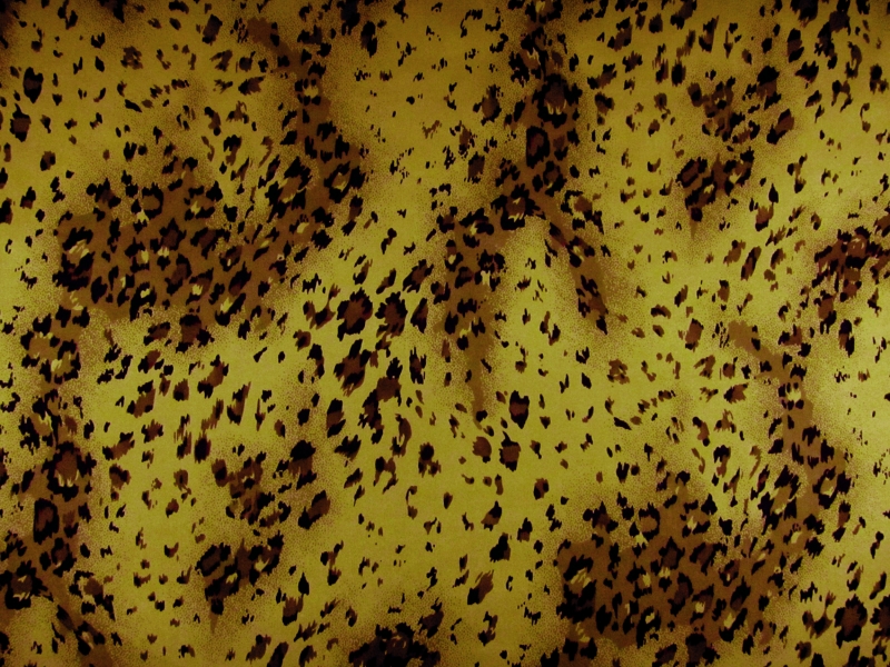 Printed Silk Chiffon0