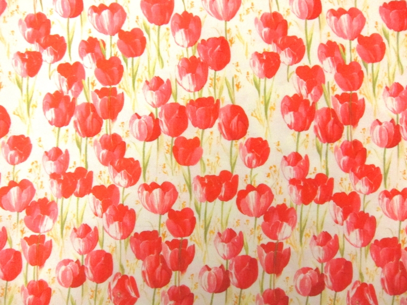 Printed Silk Mikado0