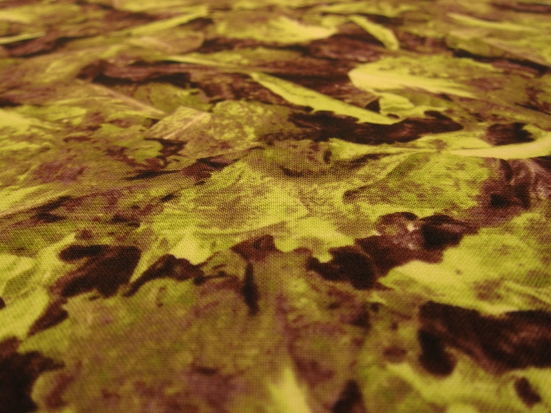 Cotton Broadcloth Print2