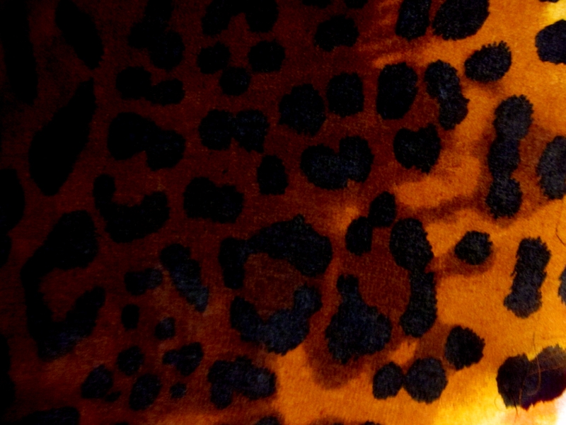 Printed Silk Chiffon0