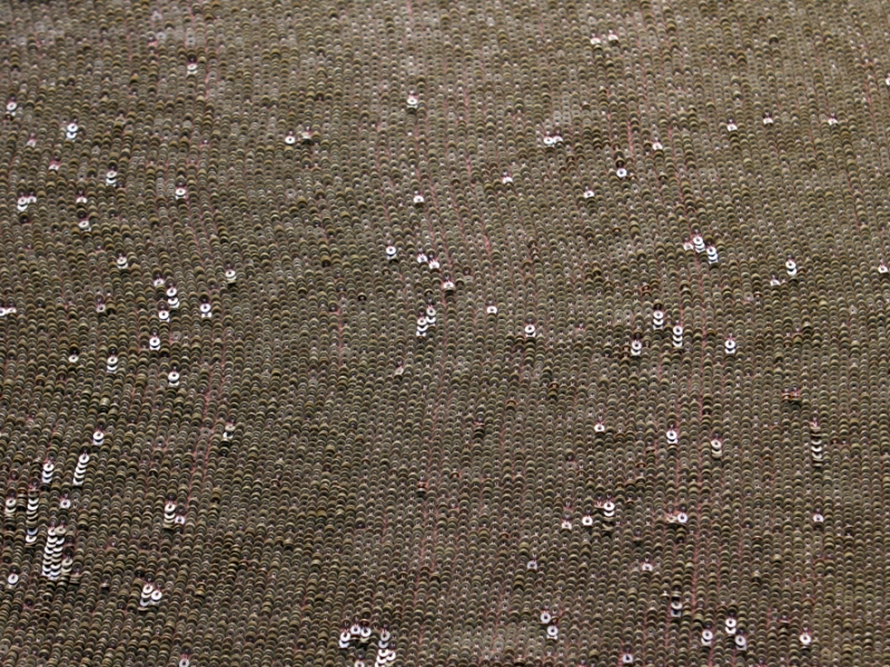 Sequins on Silk Chiffon0
