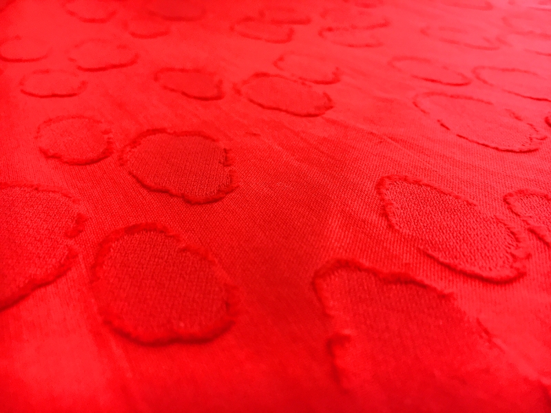 Swiss Cotton Voile Fil Coupe2