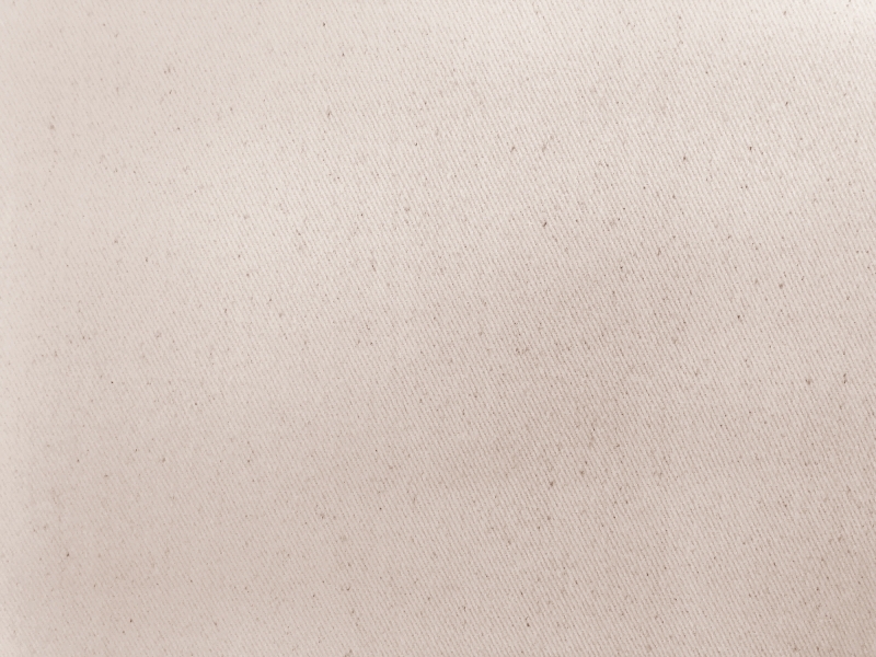 12oz Brushed Cotton Denim in Natural2