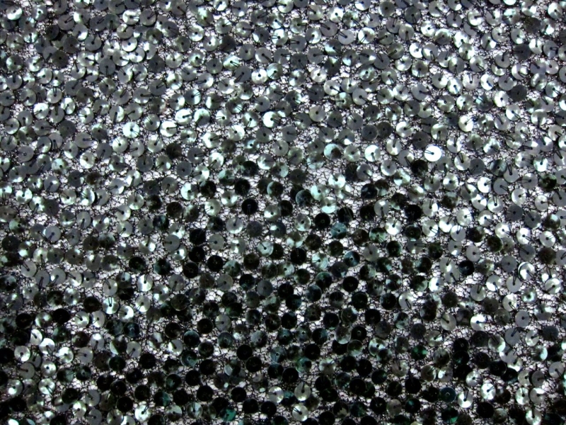 Sequins on Metallic Tulle0