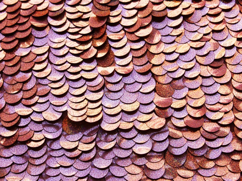 Pailettes on Silk Chiffon0