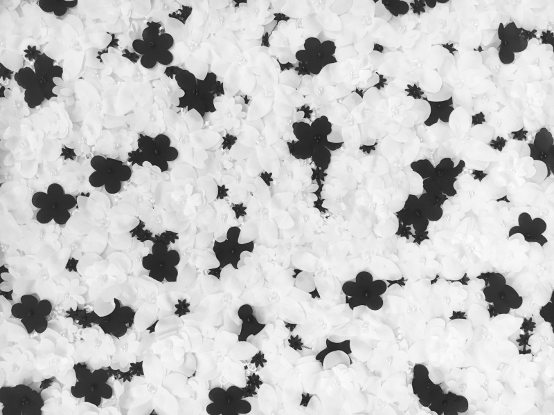 Black and White Flowers Appliquéd on Tulle 0
