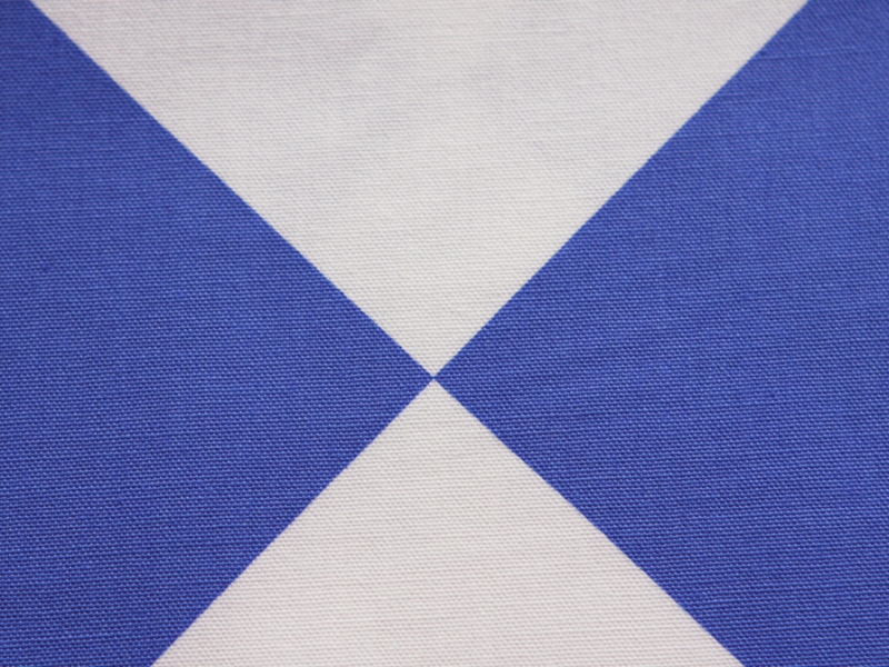 Printed Cotton Canvas2