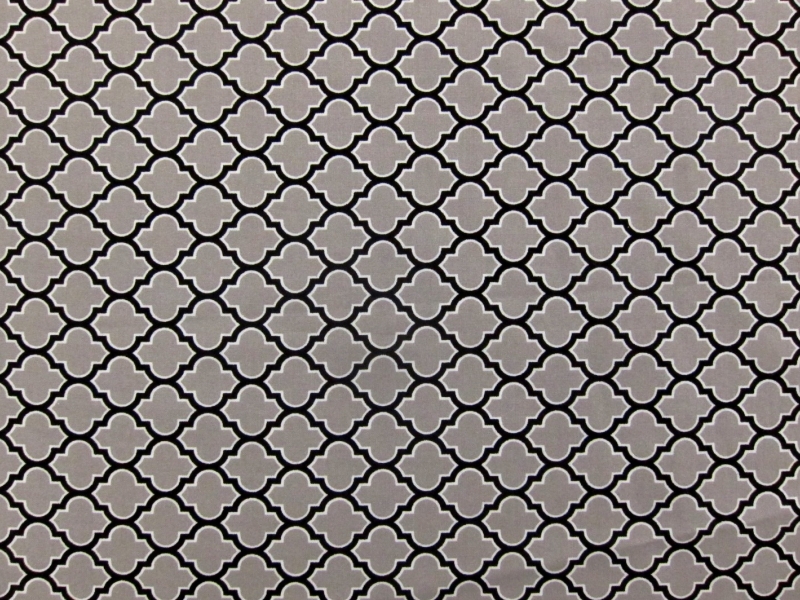 Cotton Broadcloth Print0