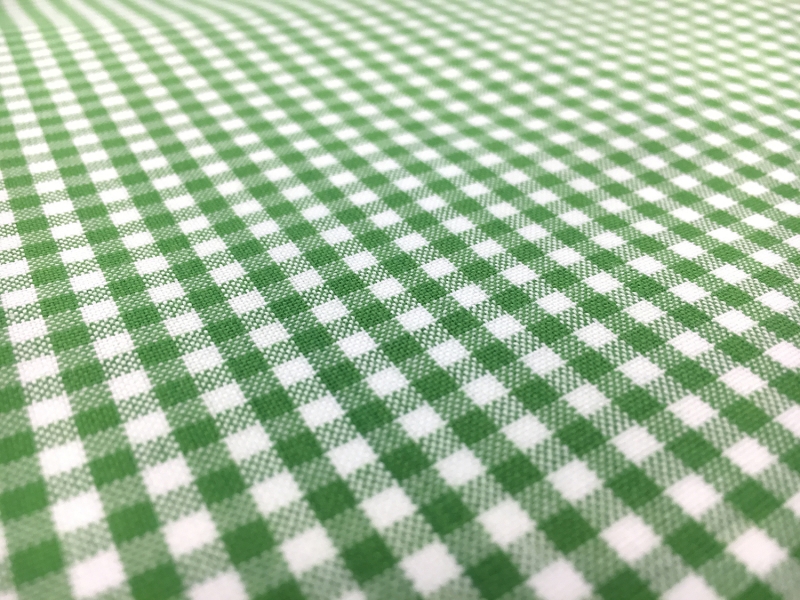 Carolina Cotton Gingham in Kelly2