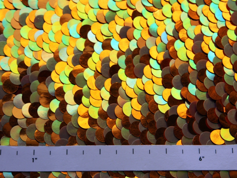 Pailettes on Silk Chiffon2