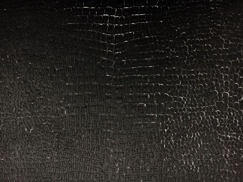 Embroidered Pleather on Tulle2