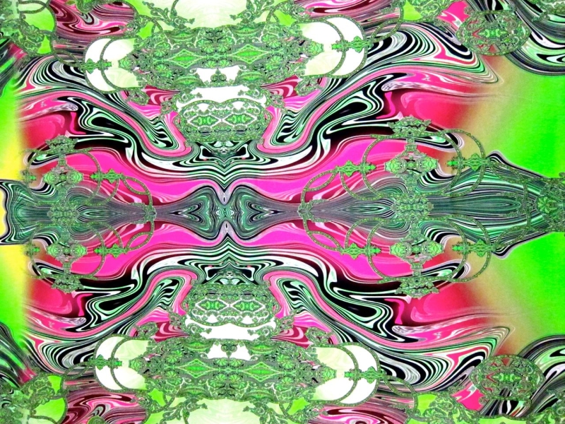 Printed Silk Charmeuse Panel0