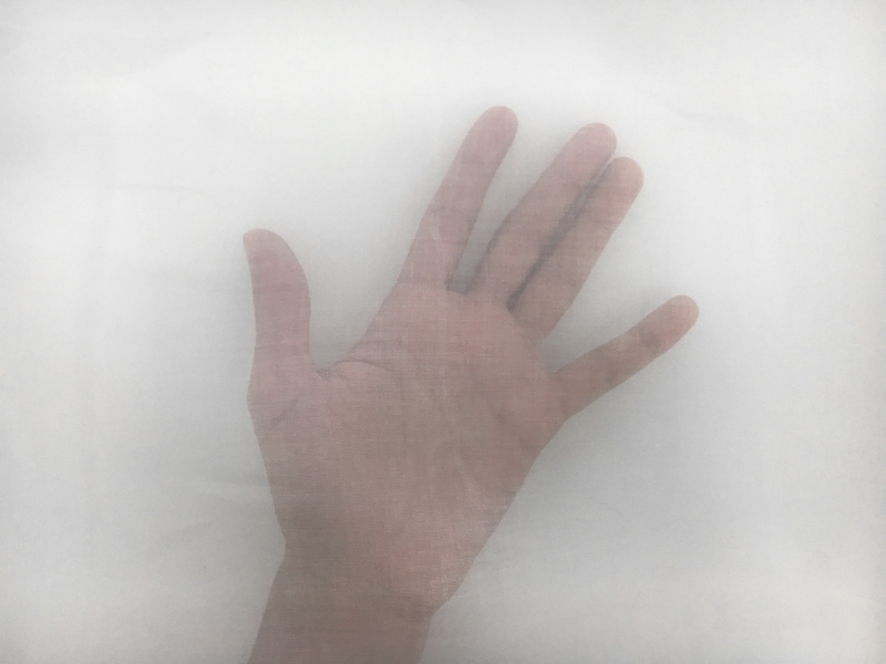 Swiss Cotton Organdy in White2