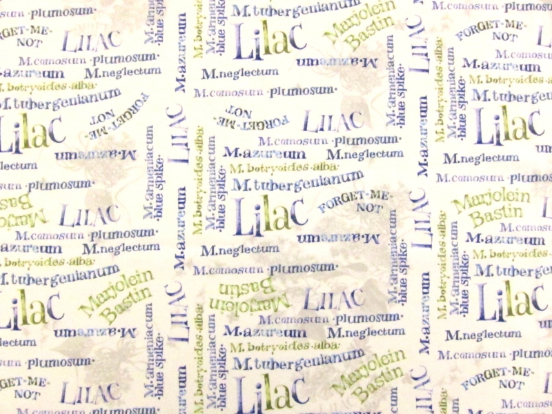 Cotton Broadcloth Print0