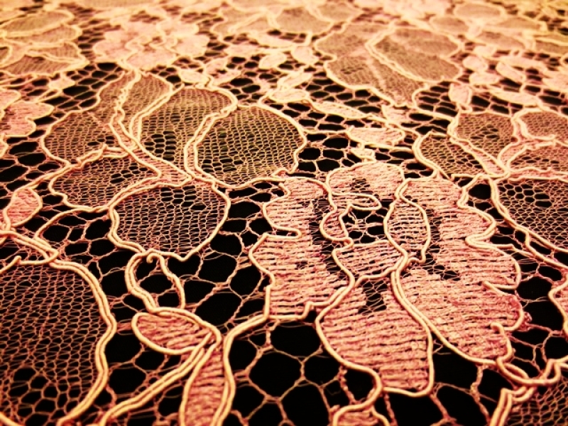 Corded Chantilly Lace2