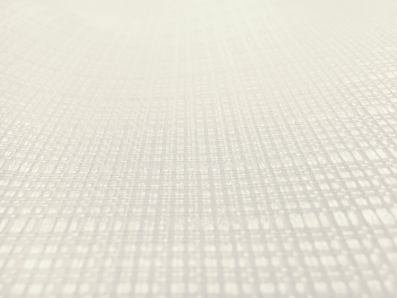 Silk and Viscose Blend Raffia Gazar in White0