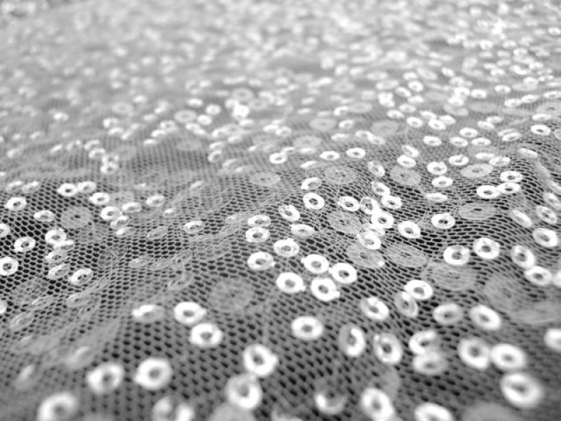 Transparent Sequins on White Tulle 0