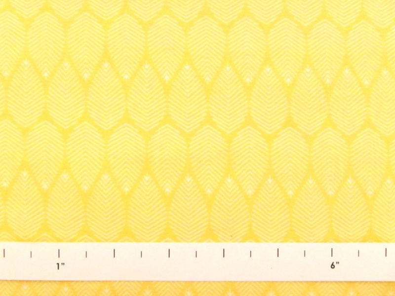 Cotton Broadcloth Print1